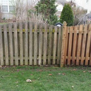 Photo of fence showing before and after cleaning and restoration