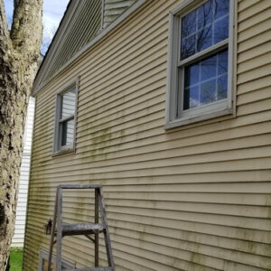 Photo of a side of a house's light tan vinyl siding ready to be power washed and restored
