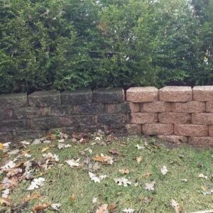 Photo of red brick pavers with half cleaned and restored showing before and after difference