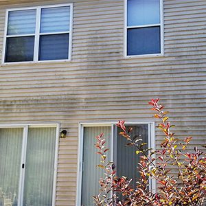 Before photo of the back of a home with vinyl siding that was washed clean